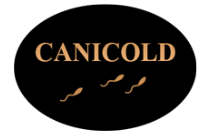 Canicold